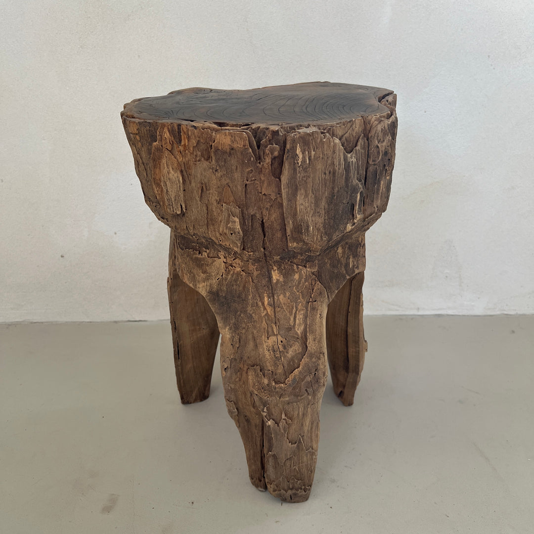 Tree Trunk Stool Side Table