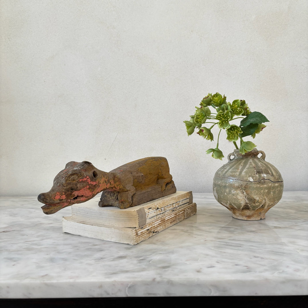 Antique primitive animal  | Lizard