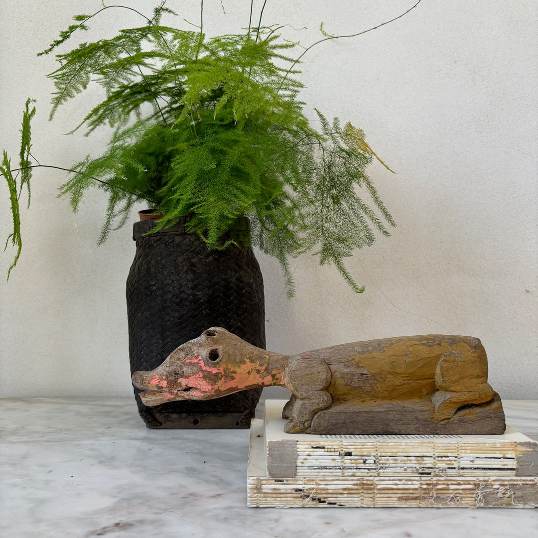 Antique primitive animal  | Lizard