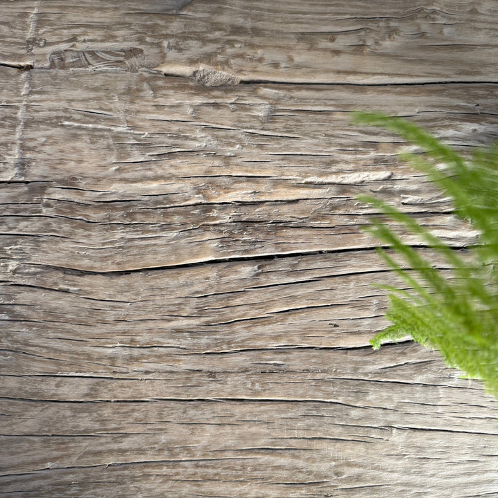 Reclaimed Rustic Elm Coffee Table | Cambridge