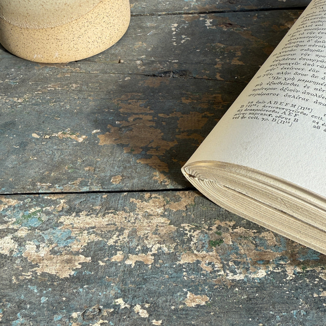 Primitive vintage painted blanket box | Midhurst