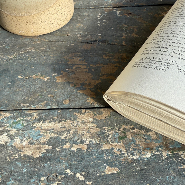 Primitive vintage painted blanket box | Midhurst