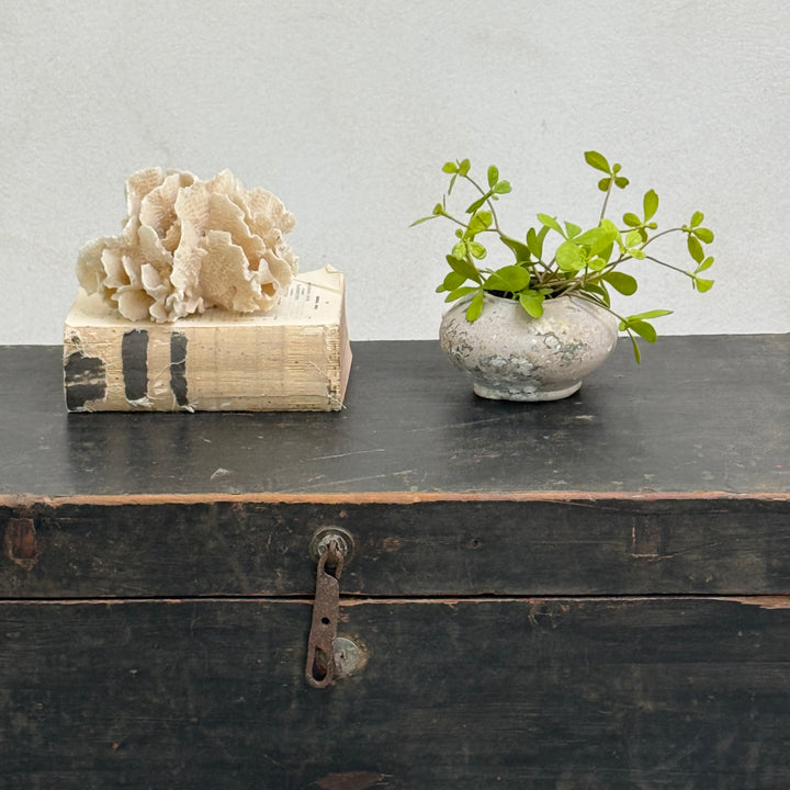 Antique blanket box storage trunk | Austell