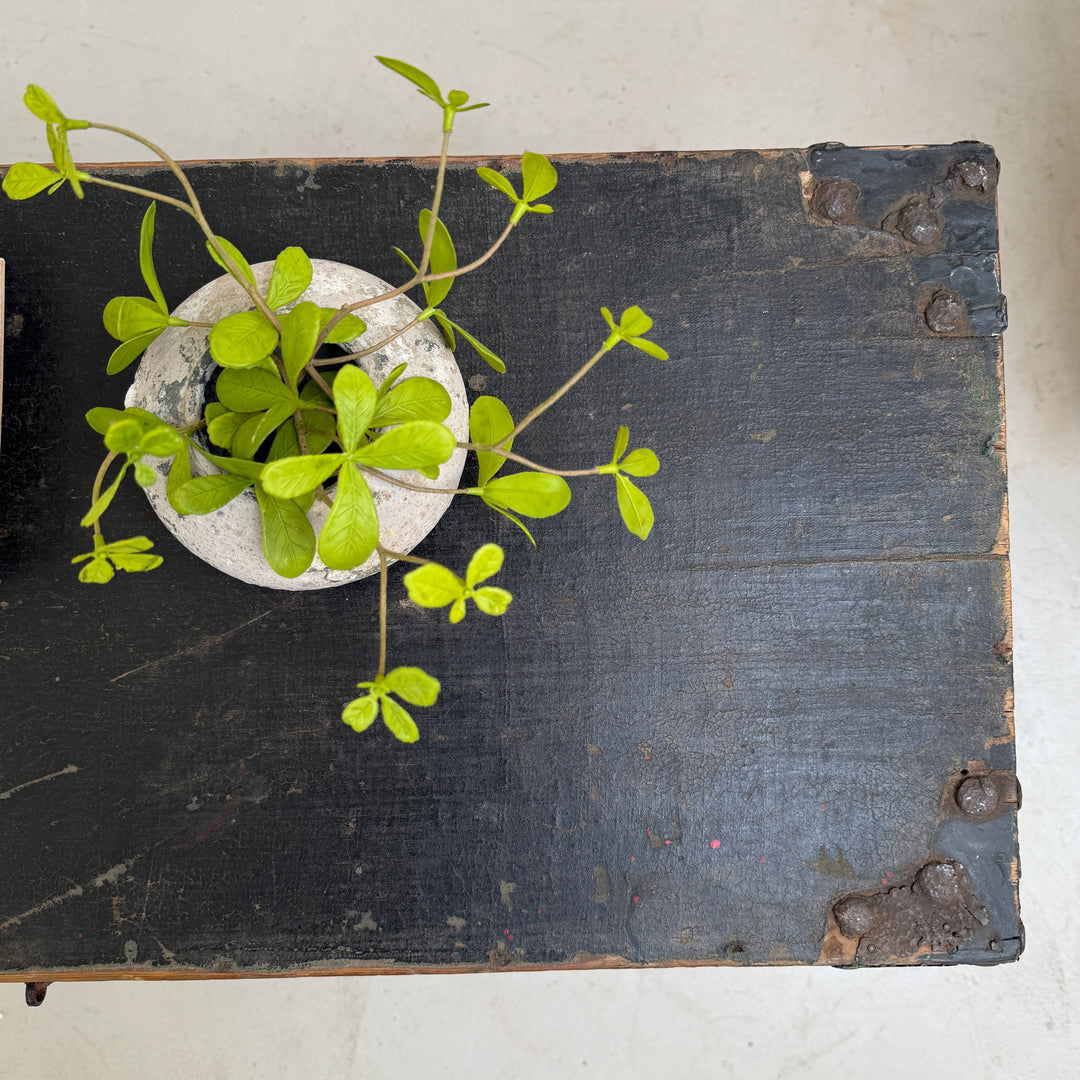 Antique blanket box storage trunk | Austell