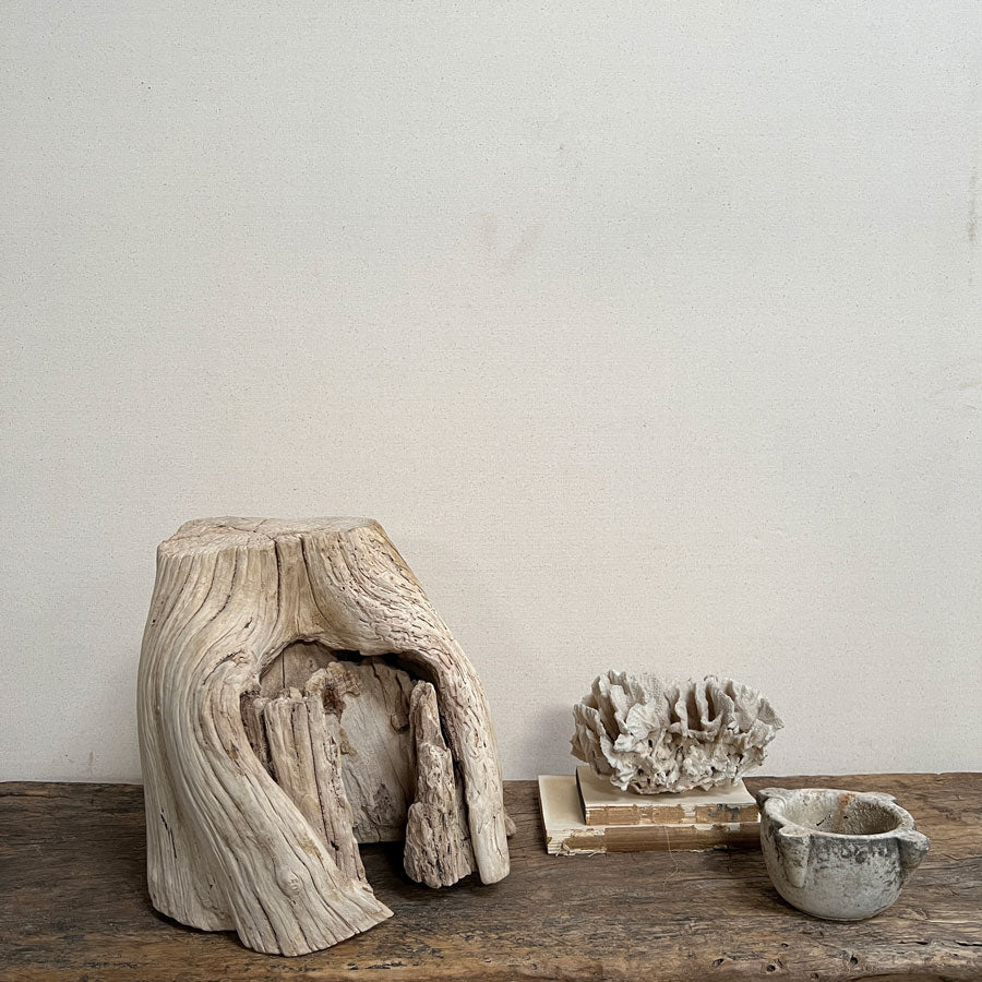Small root wood antique tree stump | J
