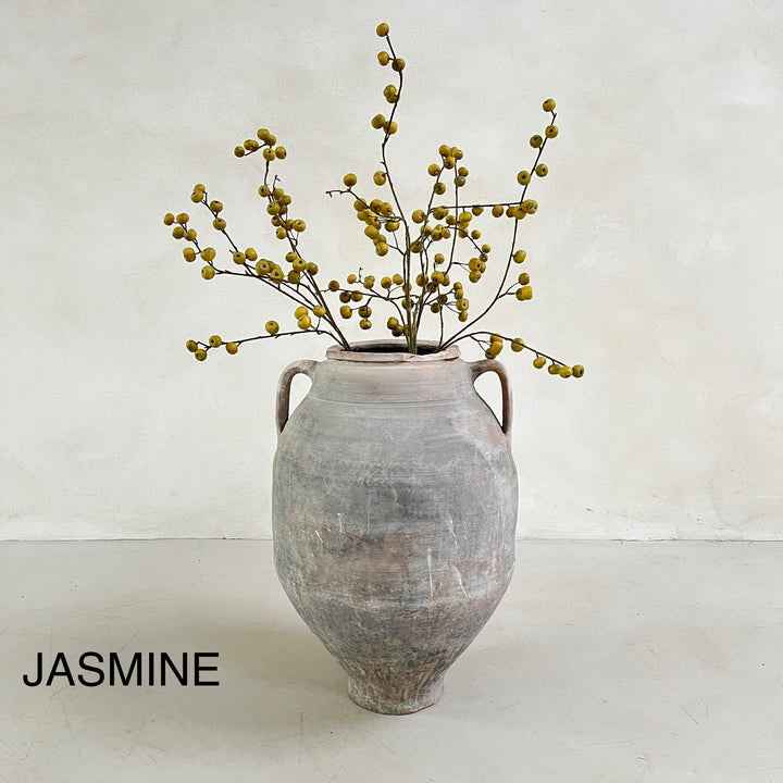 JASMINE