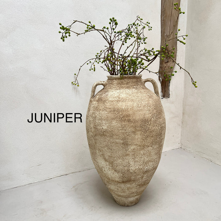 JUNIPER 