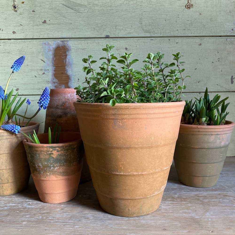 Ridged terracotta garden pot | Large