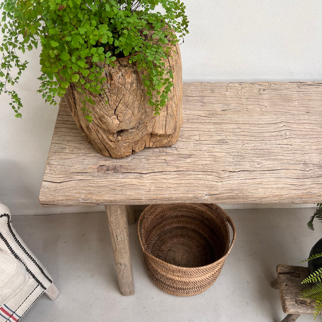 A rustic light brown wood planter shaped like a tree stump holding a green leafy plant, placed on a weathered wooden bench with a woven basket underneath.