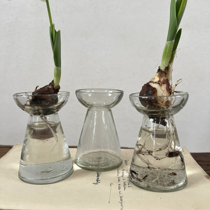 Mini Glass Bulb Vase