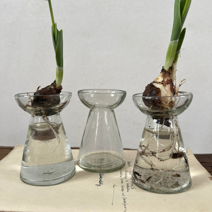 Mini Glass Bulb Vase