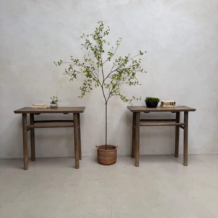 Two wooden tables with a potted plant on a plain wall background