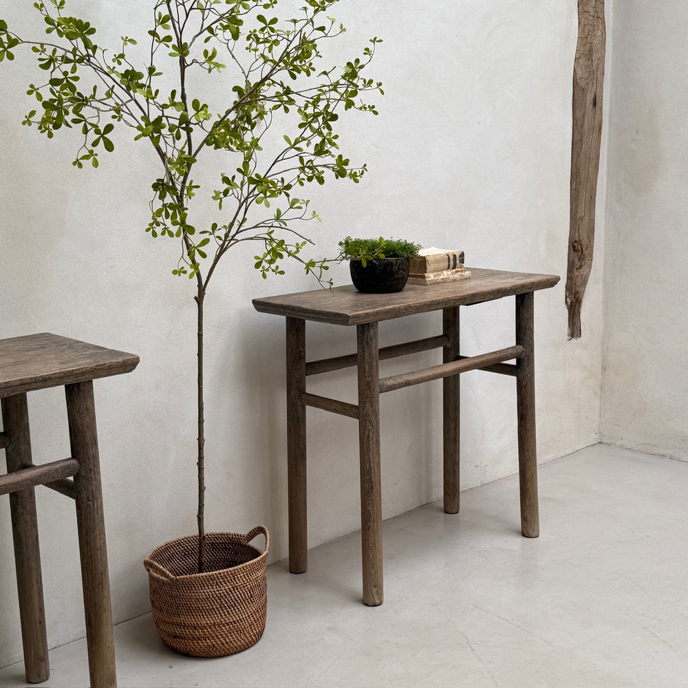 Wooden table with a plant and books against a white wall