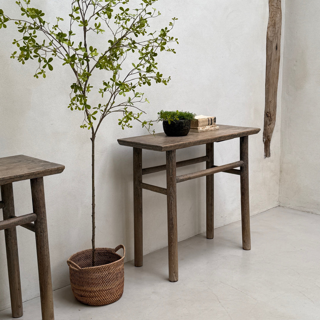 Wooden table with a plant and books against a white wall