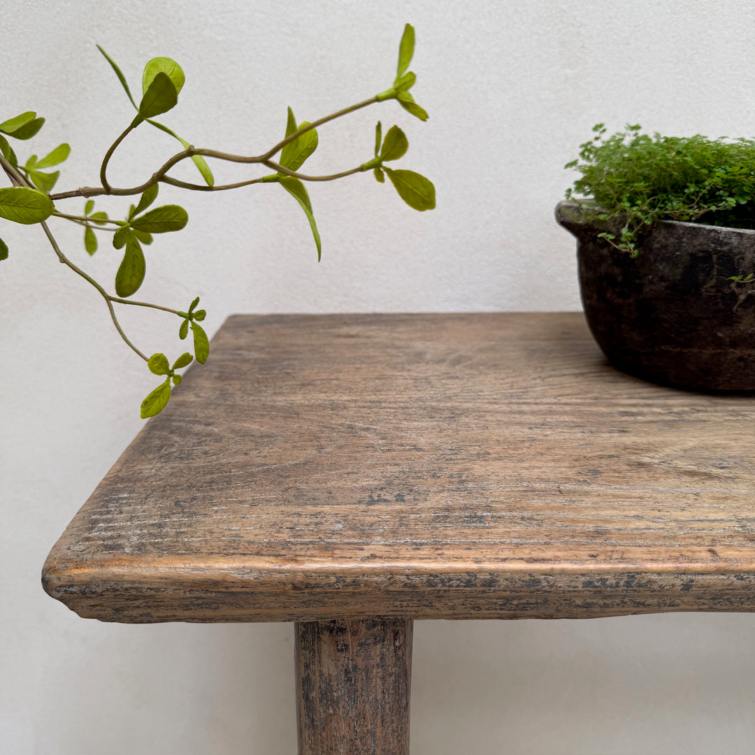 Wooden table with a plant and pot against a white wall