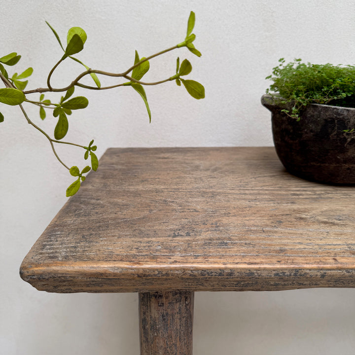 Wooden table with a plant and pot against a white wall