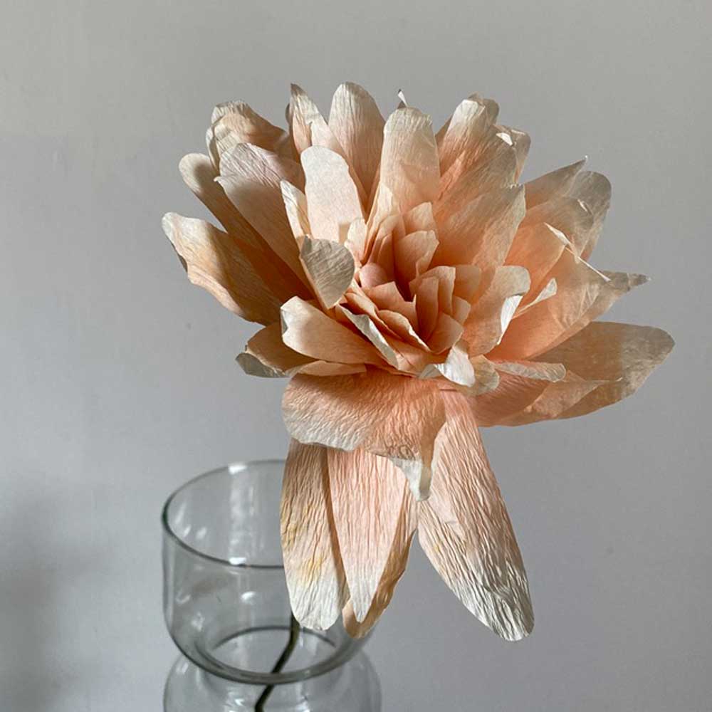 Paper Flower Grand Dahlia Nude