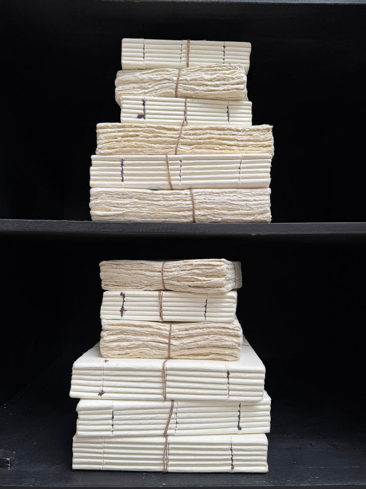 Parchement paper | Group of five decorative books