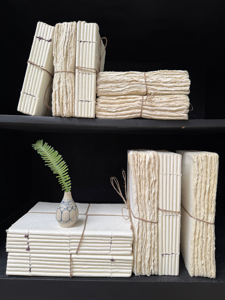 Parchement paper | Group of five decorative books