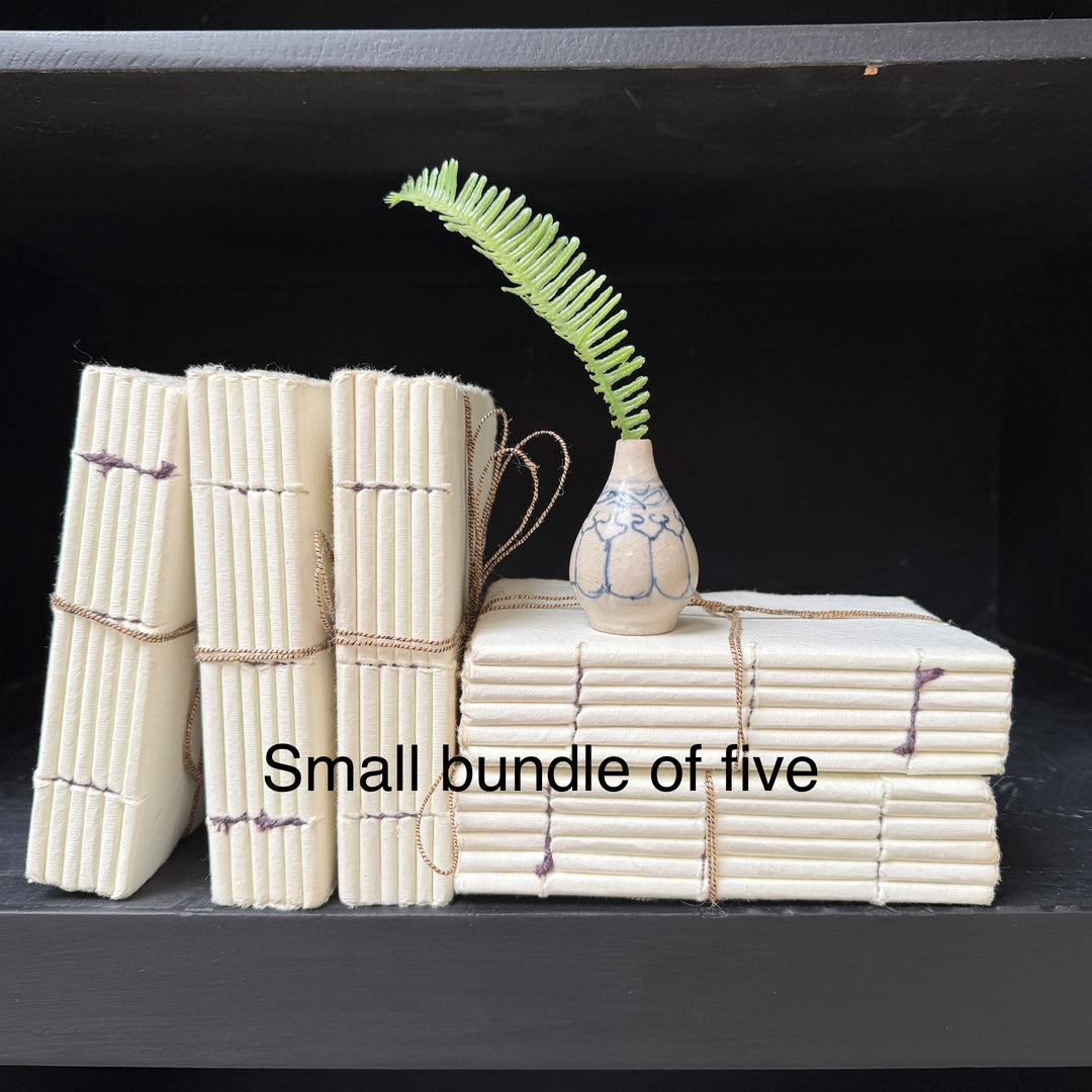 Parchement paper | Group of five decorative books