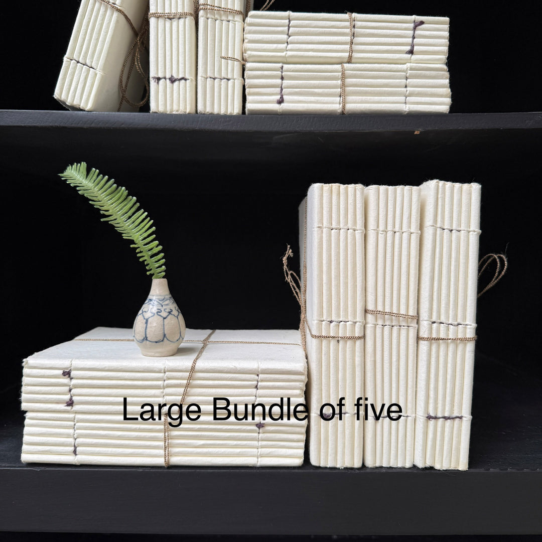 Parchement paper | Group of five decorative books