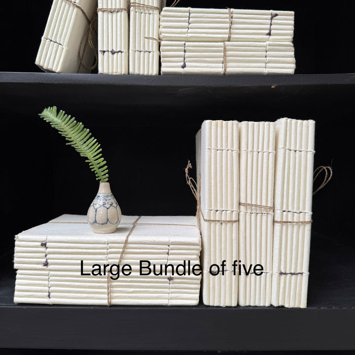 Parchement paper | Group of five decorative books