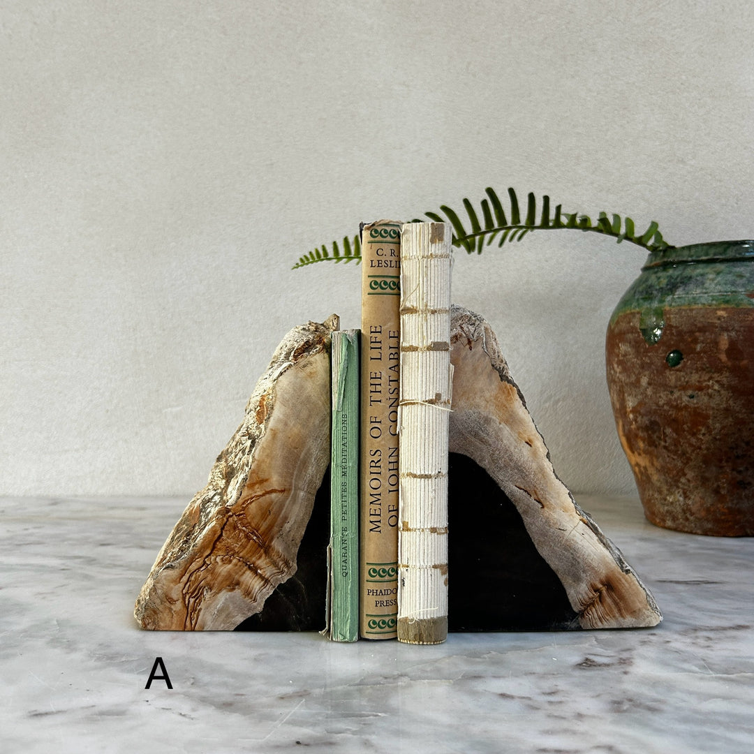 Petrified Wood Pair of Bookends