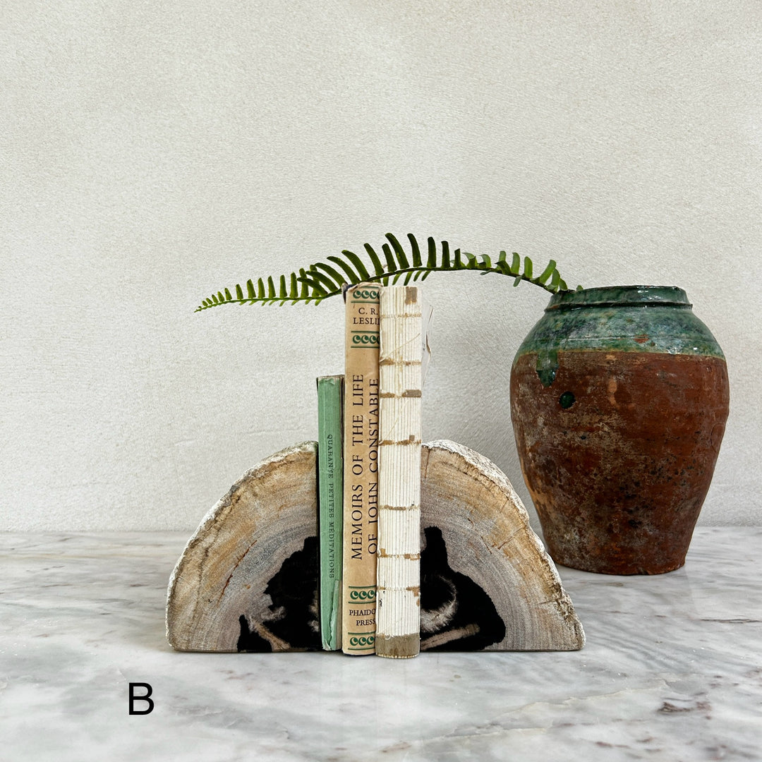 Petrified Wood Pair of Bookends