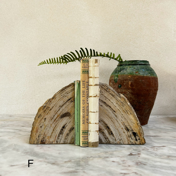 Petrified Wood Pair of Bookends