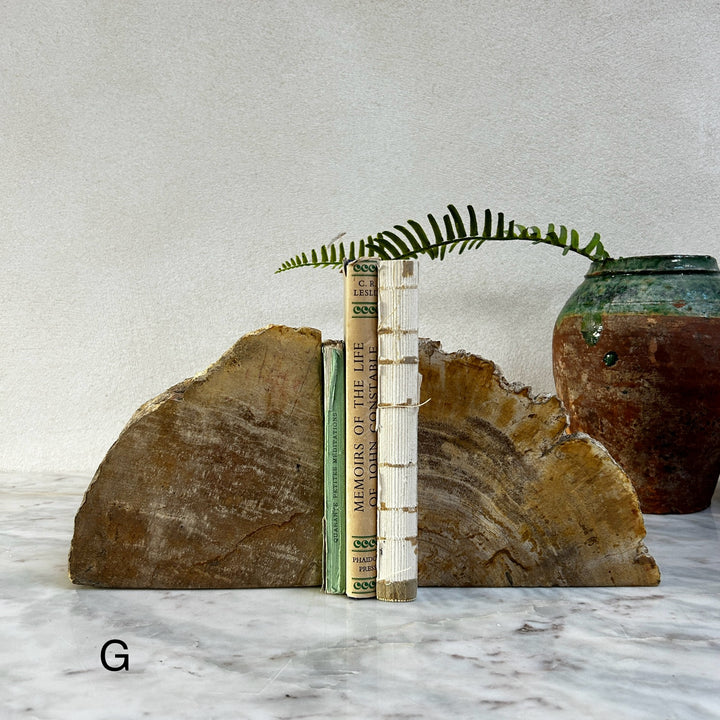 Petrified Wood Pair of Bookends
