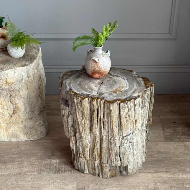 Petrified Wood Side Tables
