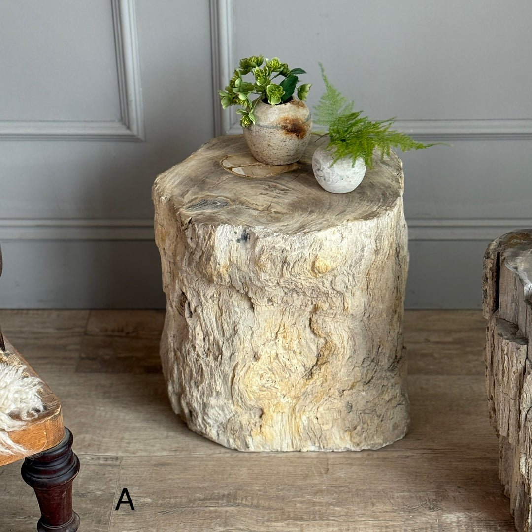 Petrified Wood Side Tables