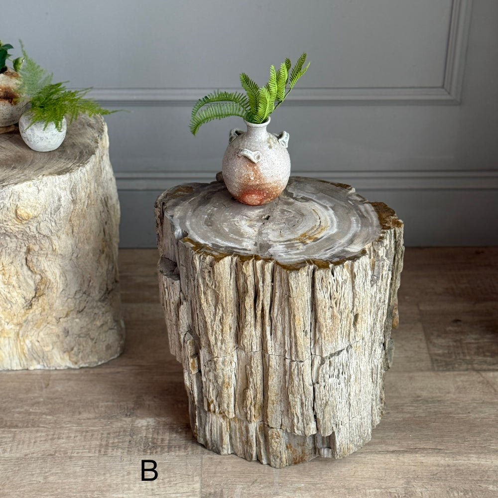 Petrified Wood Side Tables