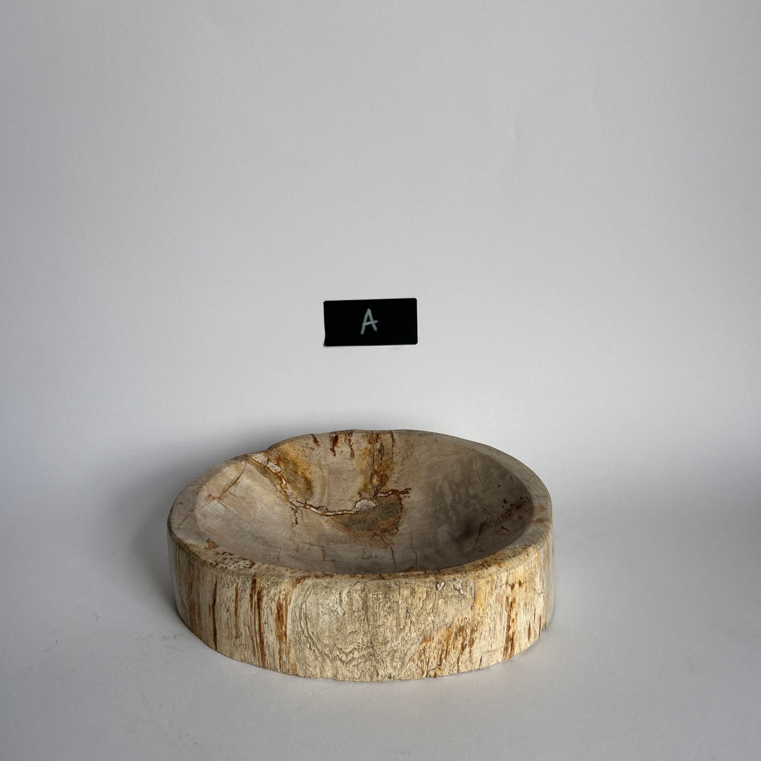 Petrified Wood stone Bowls
