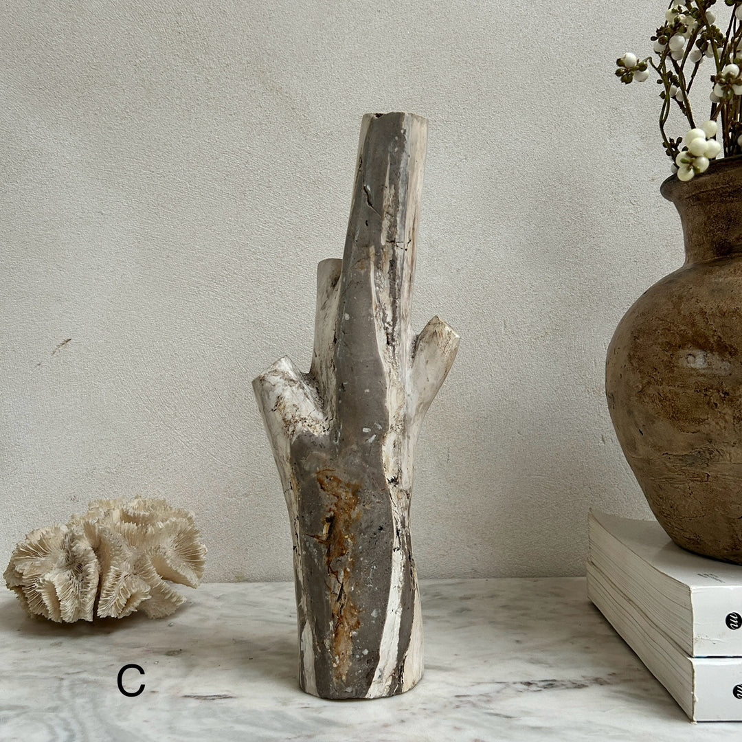 Petrified wood tree branch sculpture | Sari 