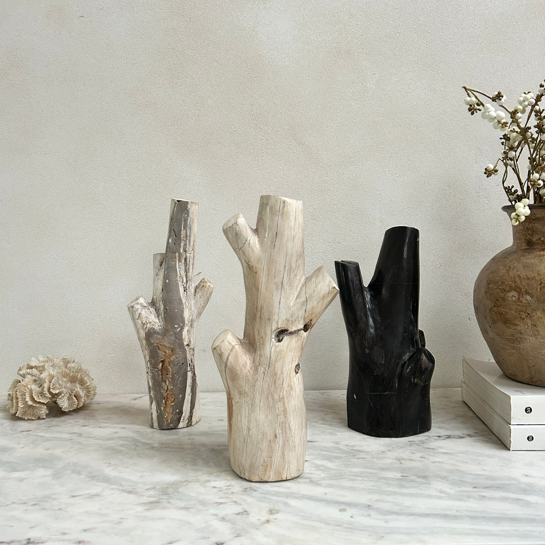 Petrified wood tree branch sculpture | Sari