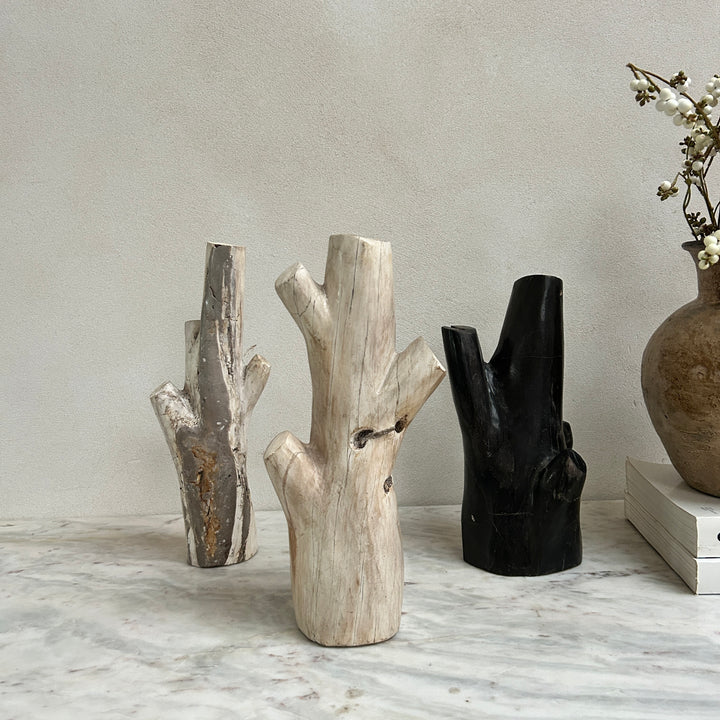 Petrified wood tree branch sculpture | Sari