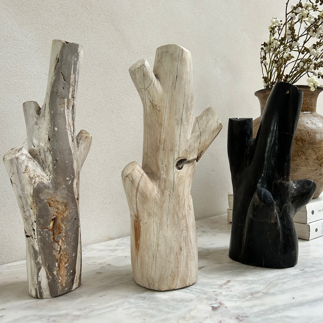 Petrified wood tree branch sculpture | Sari