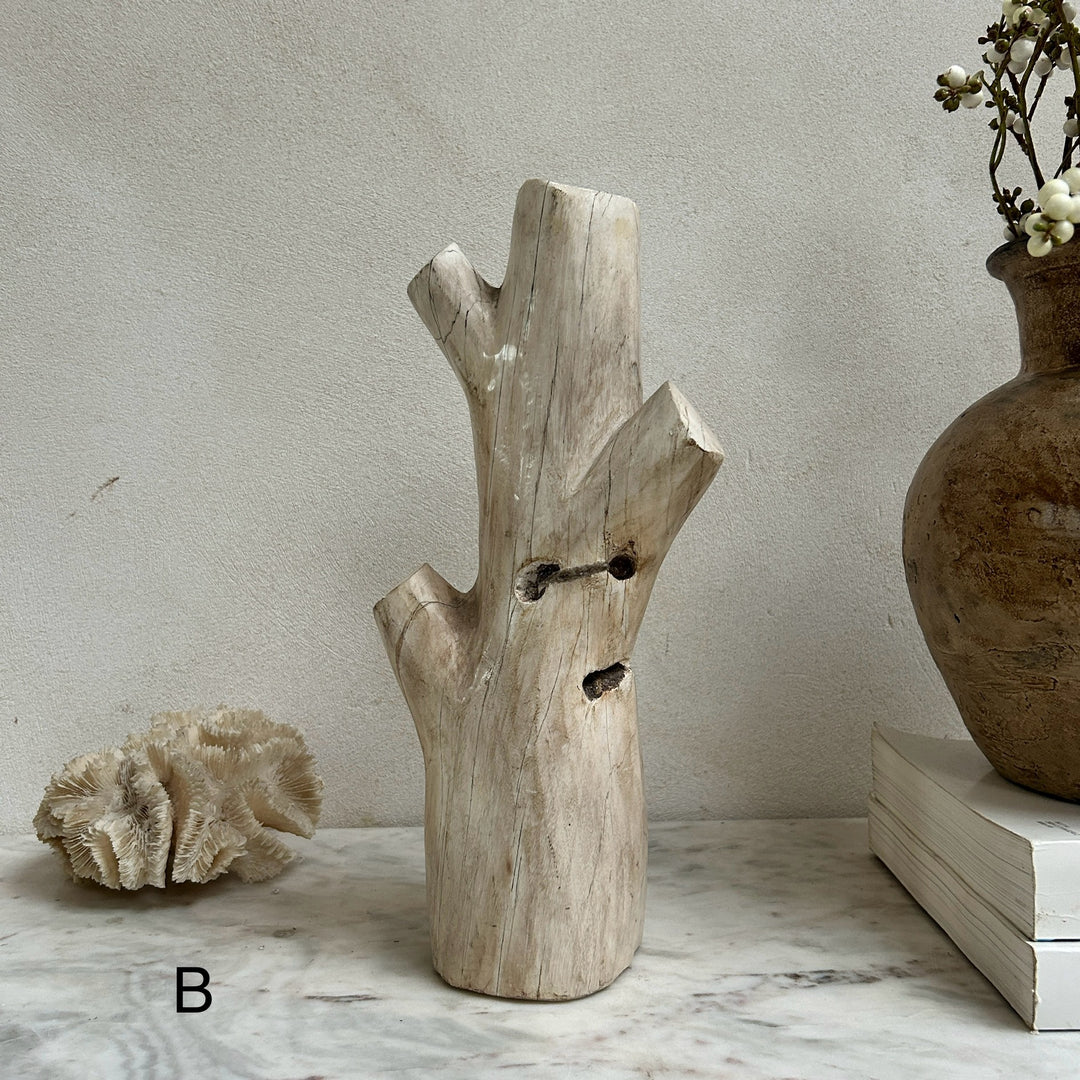 Petrified wood tree branch sculpture | Sari