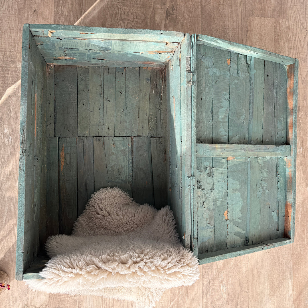 Primitive vintage painted blanket box | Issa