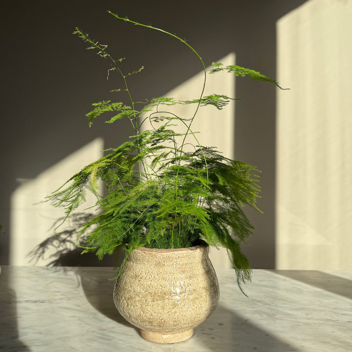 Ribbed Stone Planter Pot | Margot