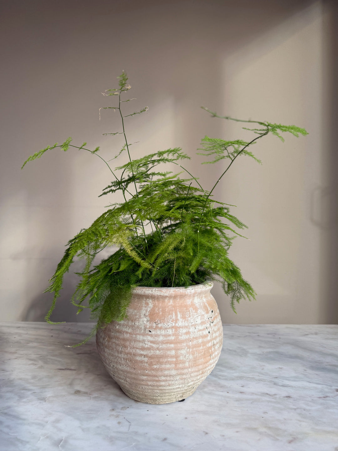 Ribbed Stone Planter Pot | Margot