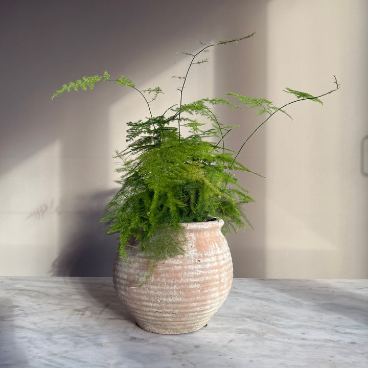 Ribbed Stone Planter Pot | Margot