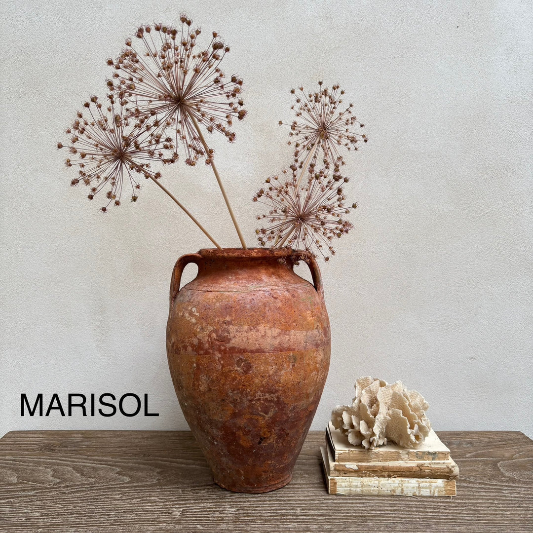Rustic Antique Terracotta Amphoras