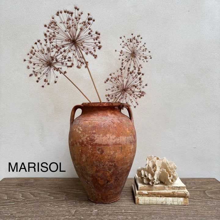 Rustic Antique Terracotta Amphoras