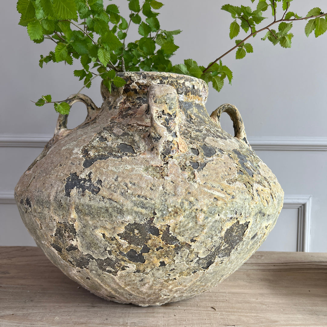 Rustic Glazed Amphora | Iris