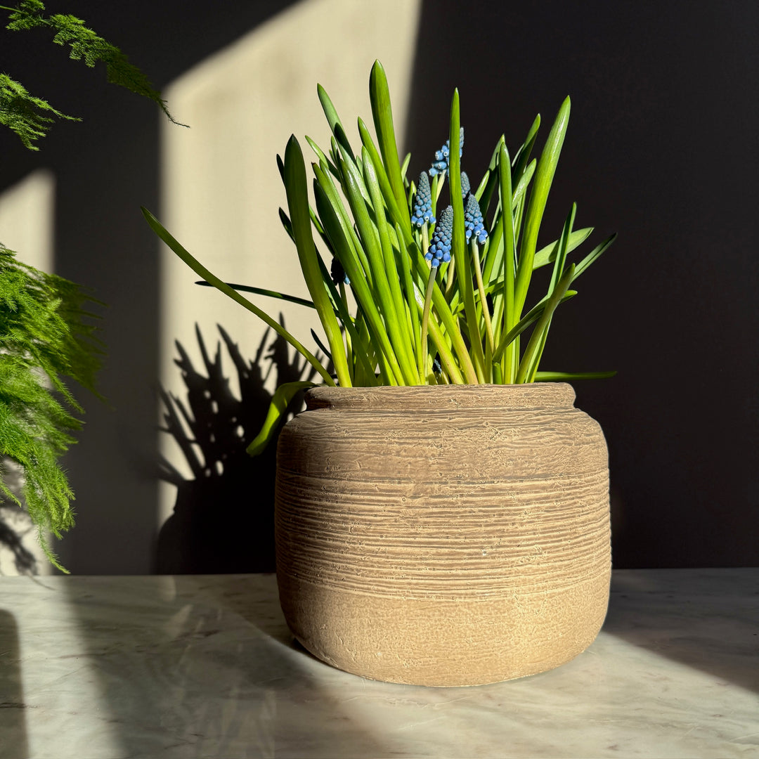 Rustic Ribbed Plant Pot | Fallon