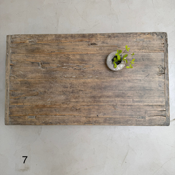 Wooden tray with a small plant on a light gray surface