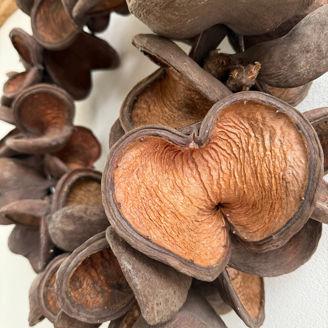 Seed pods wreath