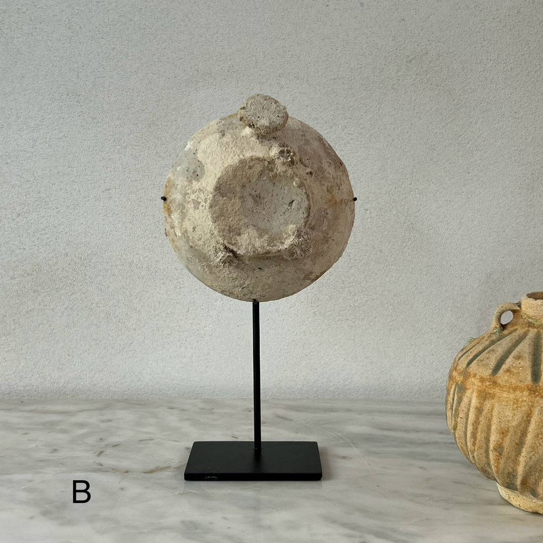 Ship wrecked bowl on Stand